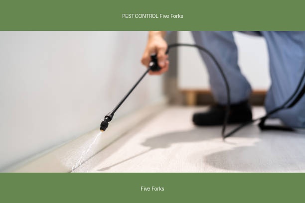 PEST CONTROL Five Forks